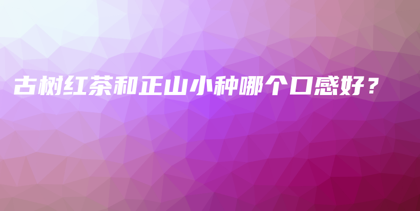 古樹紅茶和正山小種哪個口感好？插圖