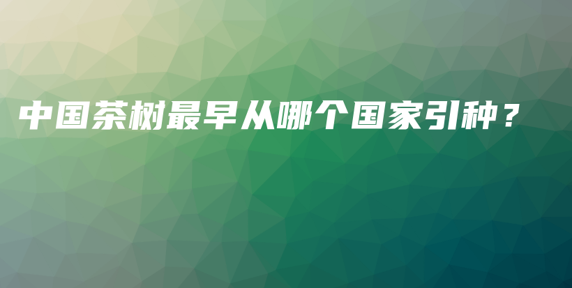 中國(guó)茶樹最早從哪個(gè)國(guó)家引種？插圖