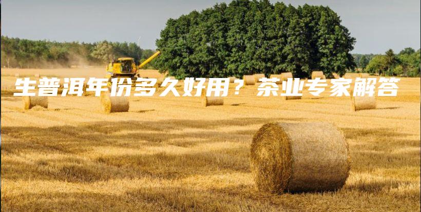 生普洱年份多久好用？茶業(yè)專家解答插圖