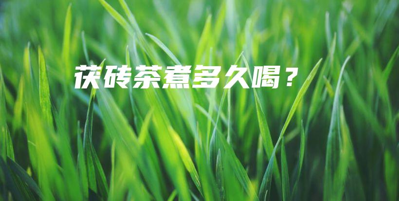 茯磚茶煮多久喝？插圖