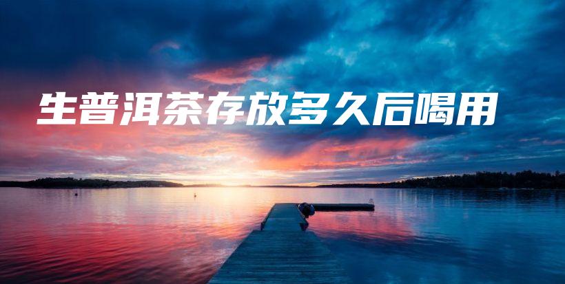 生普洱茶存放多久后喝用插圖