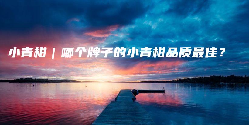 小青柑｜哪個牌子的小青柑品質(zhì)最佳？插圖