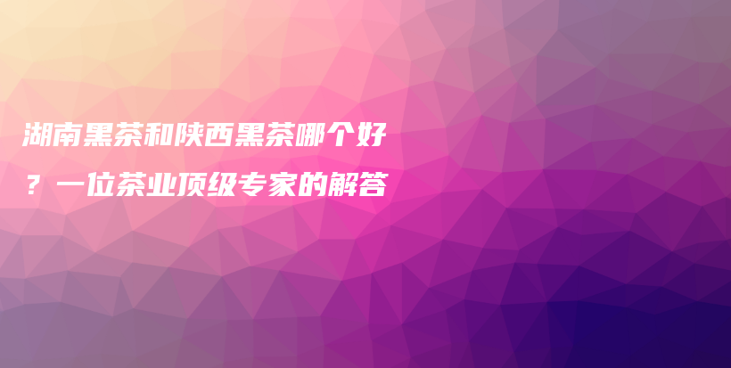 湖南黑茶和陜西黑茶哪個(gè)好？一位茶業(yè)頂級(jí)專家的解答插圖