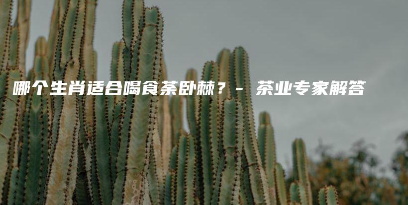 哪個生肖適合喝食荼臥棘？- 茶業(yè)專家解答插圖