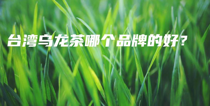 臺(tái)灣烏龍茶哪個(gè)品牌的好？插圖