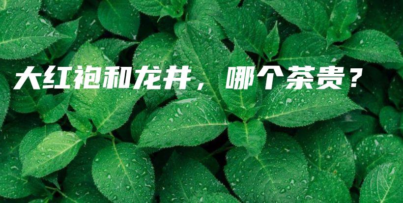 大紅袍和龍井，哪個茶貴？插圖