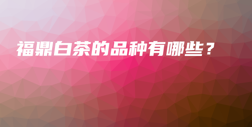 福鼎白茶的品種有哪些？插圖