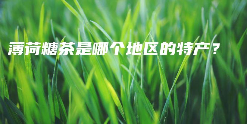 薄荷糖茶是哪個(gè)地區(qū)的特產(chǎn)？插圖