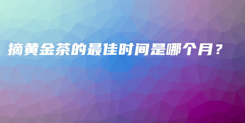 摘黃金茶的最佳時(shí)間是哪個(gè)月？插圖