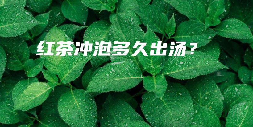 紅茶沖泡多久出湯？插圖