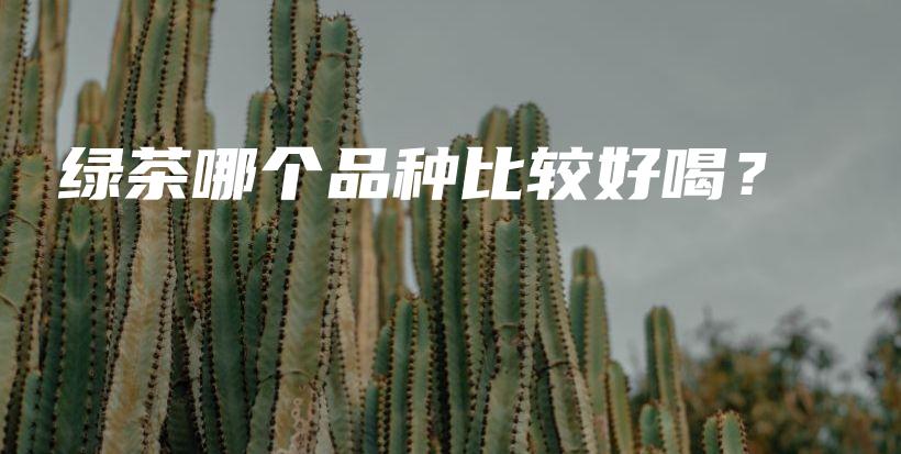 綠茶哪個品種比較好喝？插圖