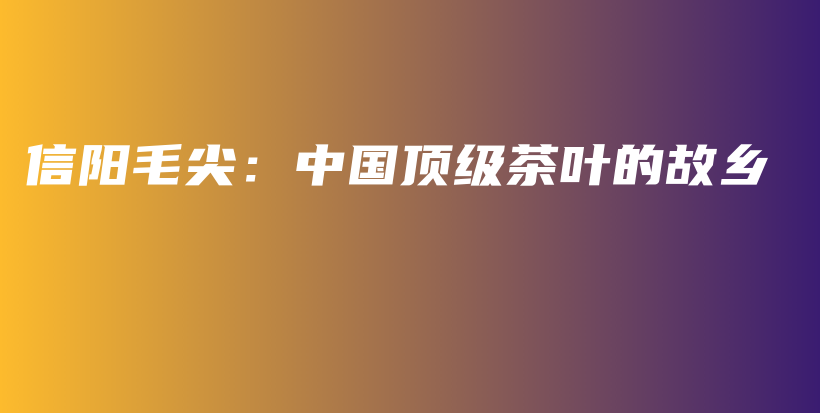 信陽(yáng)毛尖：中國(guó)頂級(jí)茶葉的故鄉(xiāng)插圖