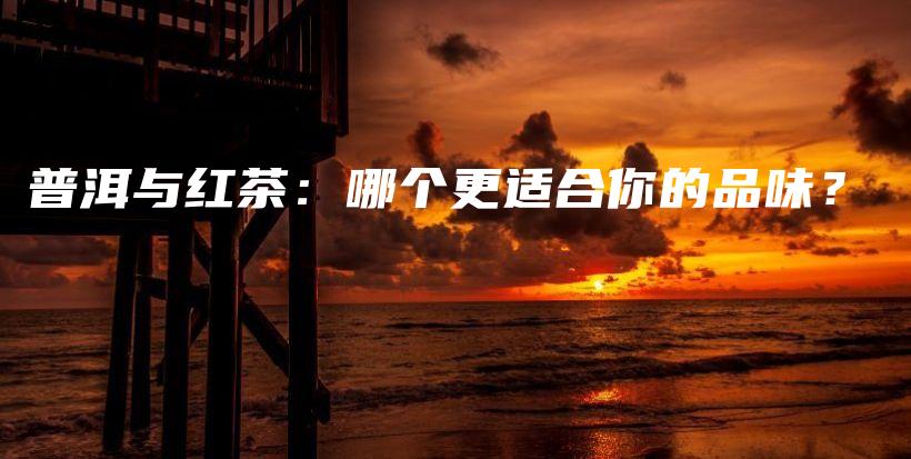普洱與紅茶：哪個(gè)更適合你的品味？插圖