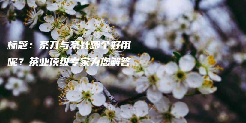 標(biāo)題：茶刀與茶針哪個好用呢？茶業(yè)頂級專家為您解答插圖