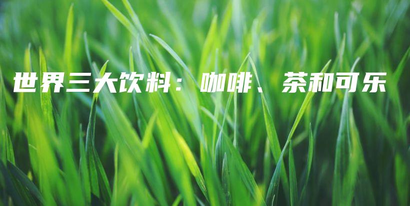 世界三大飲料：咖啡、茶和可樂插圖