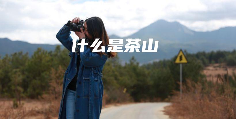 什么是茶山插圖