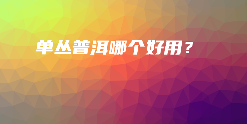 單叢普洱哪個好用？插圖
