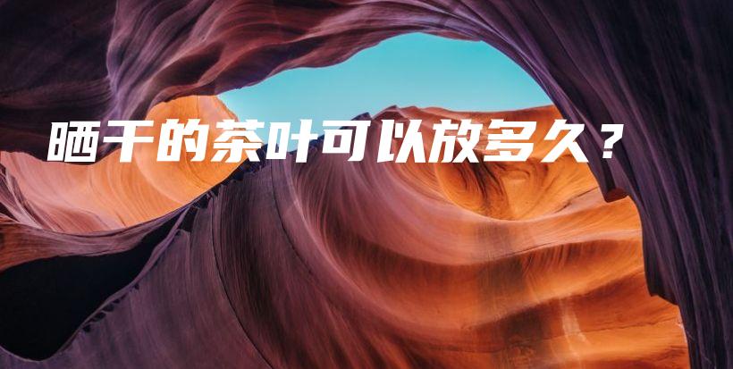 曬干的茶葉可以放多久？插圖