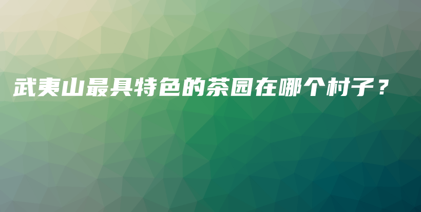 武夷山最具特色的茶園在哪個村子？插圖