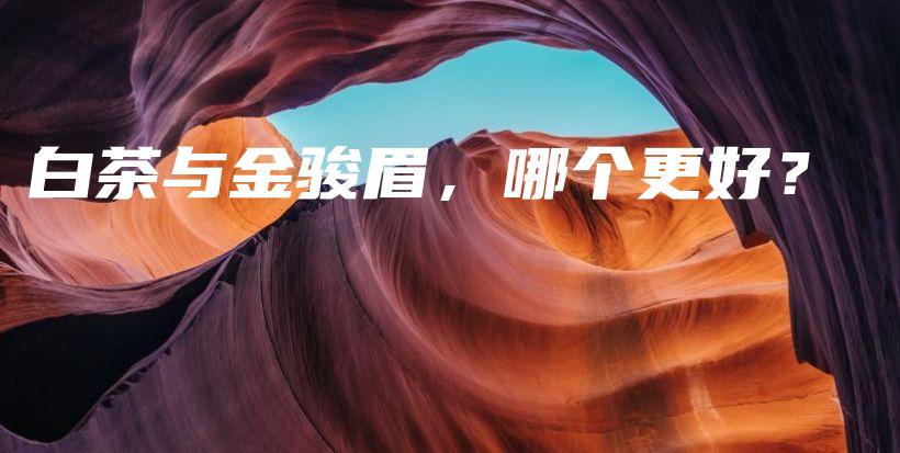 白茶與金駿眉，哪個更好？插圖