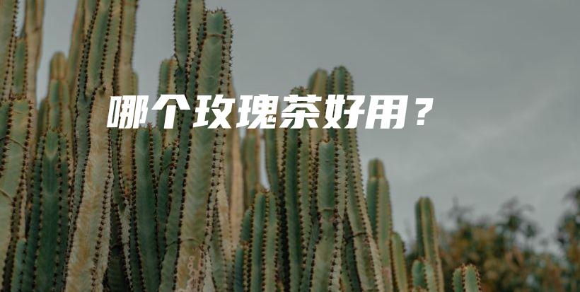 哪個玫瑰茶好用？插圖