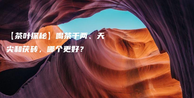 【茶葉探秘】喝茶千兩、天尖和茯磚，哪個(gè)更好？插圖