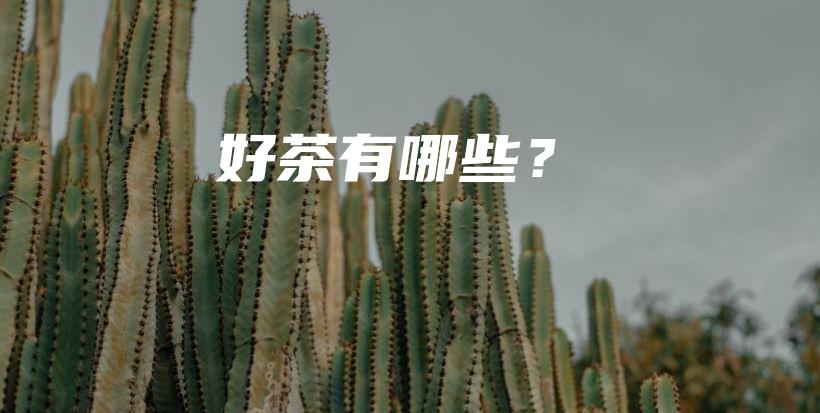好茶有哪些？插圖