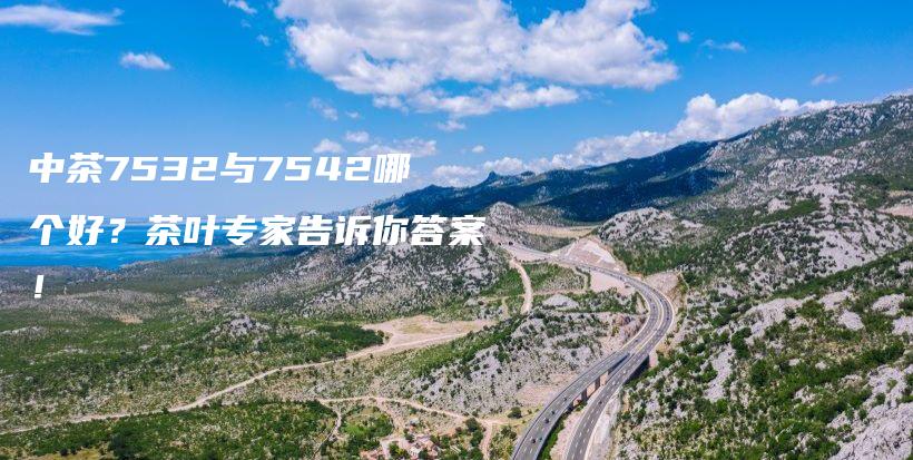 中茶7532與7542哪個好？茶葉專家告訴你答案！插圖