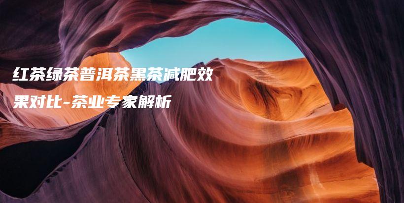 紅茶綠茶普洱茶黑茶減肥效果對(duì)比-茶業(yè)專家解析插圖