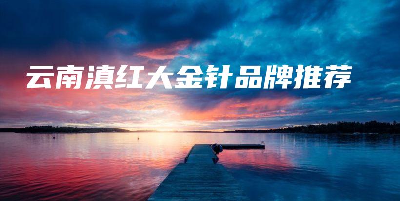 云南滇紅大金針品牌推薦插圖