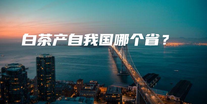 白茶產(chǎn)自我國(guó)哪個(gè)省？插圖