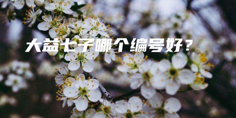 大益七子哪個編號好？插圖