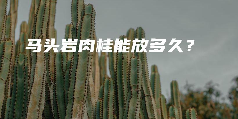 馬頭巖肉桂能放多久？插圖