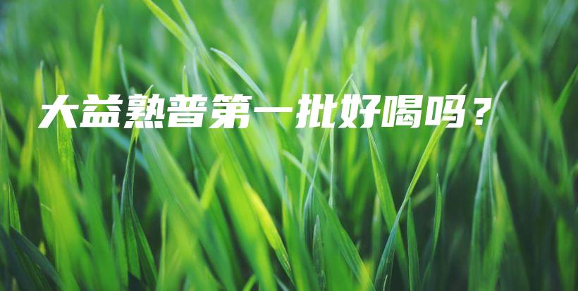 大益熟普第一批好喝嗎？插圖
