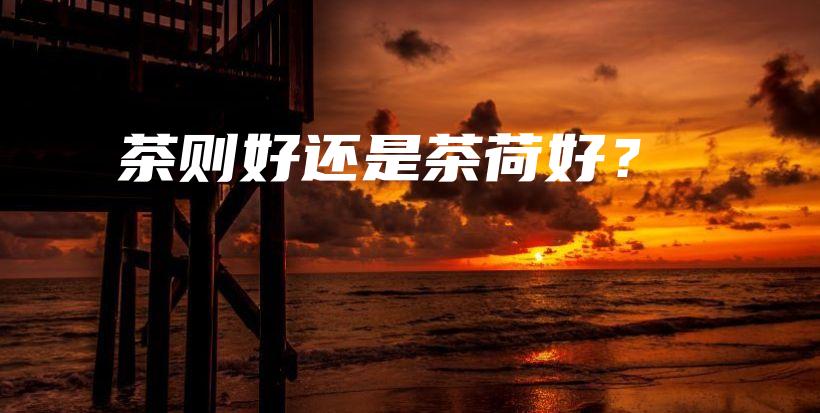 茶則好還是茶荷好？插圖