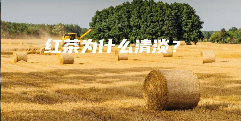 紅茶為什么清淡？插圖