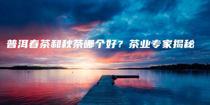 普洱春茶和秋茶哪個(gè)好？茶業(yè)專家揭秘插圖