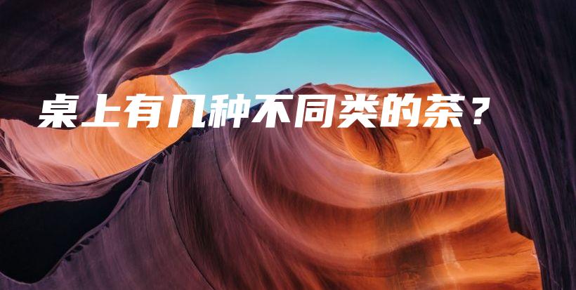 桌上有幾種不同類的茶？插圖