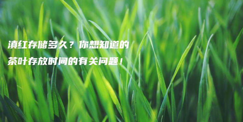 滇紅存儲(chǔ)多久？你想知道的茶葉存放時(shí)間的有關(guān)問題！插圖