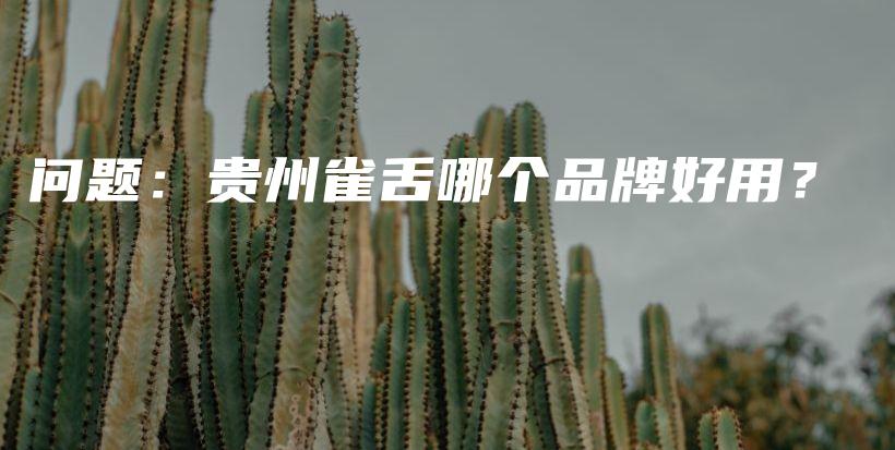 問(wèn)題：貴州雀舌哪個(gè)品牌好用？插圖