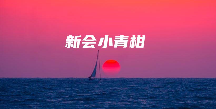 新會(huì)小青柑插圖