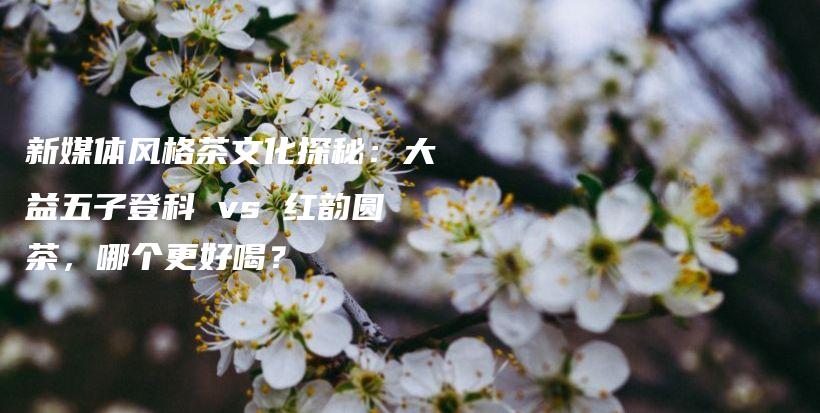 新媒體風(fēng)格茶文化探秘：大益五子登科 vs 紅韻圓茶，哪個(gè)更好喝？插圖