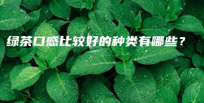 綠茶口感比較好的種類有哪些？插圖