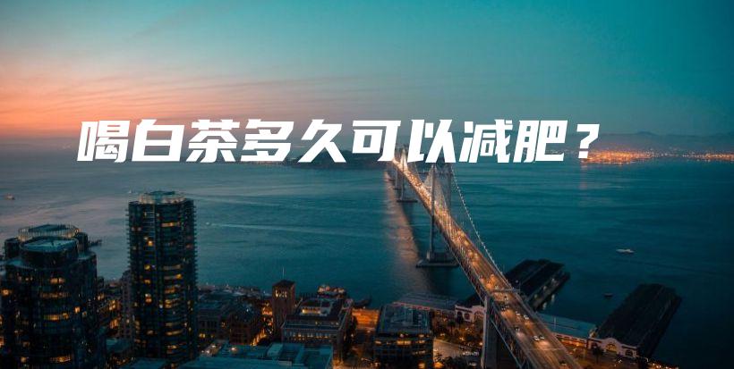 喝白茶多久可以減肥？插圖