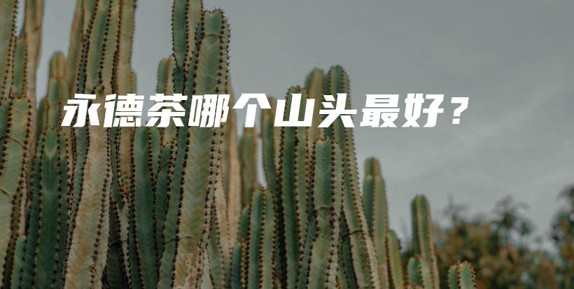 永德茶哪個(gè)山頭最好？插圖