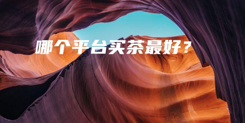 哪個平臺買茶最好？插圖