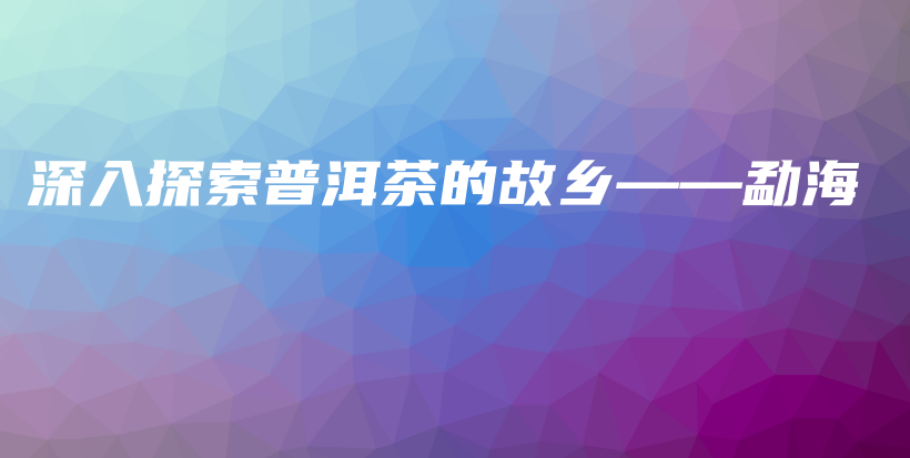 深入探索普洱茶的故鄉(xiāng)——勐海插圖