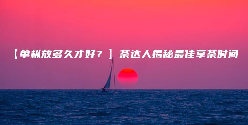 【單樅放多久才好？】茶達人揭秘最佳享茶時間插圖