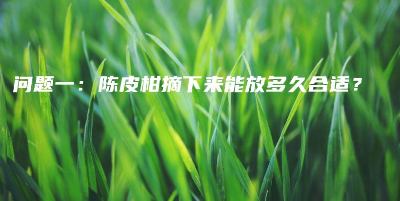 問題一：陳皮柑摘下來能放多久合適？插圖