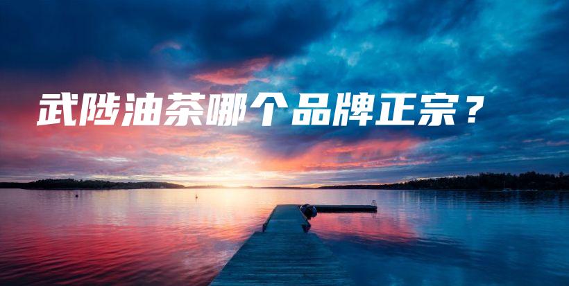 武陟油茶哪個品牌正宗？插圖